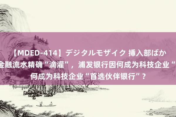 【MDED-414】デジタルモザイク 挿入部ばかり集めました2 金融流水精确“滴灌”，浦发银行因何成为科技企业“首选伙伴银行”？