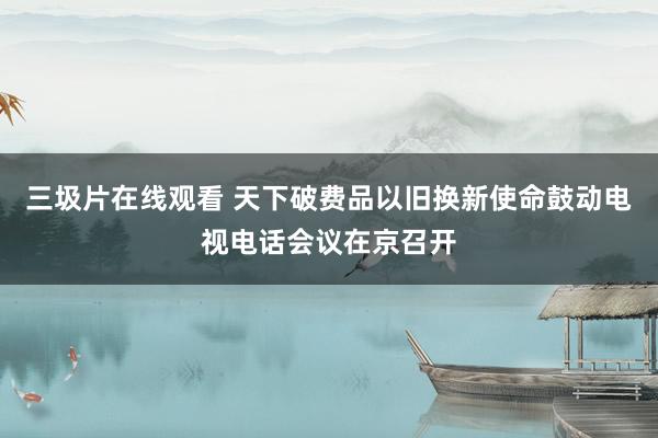 三圾片在线观看 天下破费品以旧换新使命鼓动电视电话会议在京召开