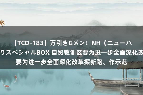 【TCD-183】万引きGメン！NH（ニューハーフ）ペニクリ狩りスペシャルBOX 自贸教训区要为进一步全面深化改革探新路、作示范