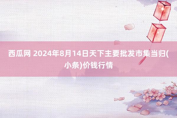 西瓜网 2024年8月14日天下主要批发市集当归(小条)价钱行情