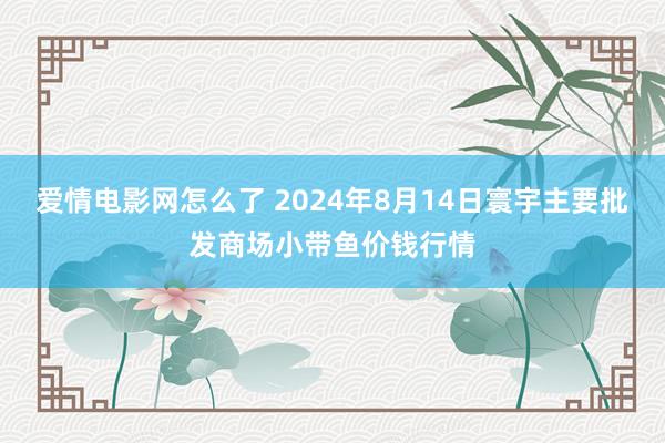 爱情电影网怎么了 2024年8月14日寰宇主要批发商场小带鱼价钱行情