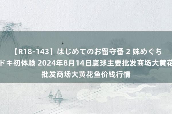 【R18-143】はじめてのお留守番 2 妹めぐちゃんのドキドキ初体験 2024年8月14日寰球主要批发商场大黄花鱼价钱行情