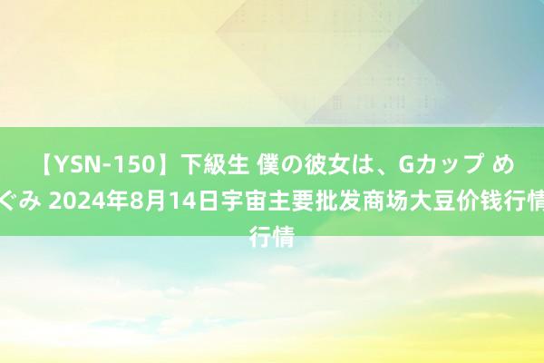 【YSN-150】下級生 僕の彼女は、Gカップ めぐみ 2024年8月14日宇宙主要批发商场大豆价钱行情