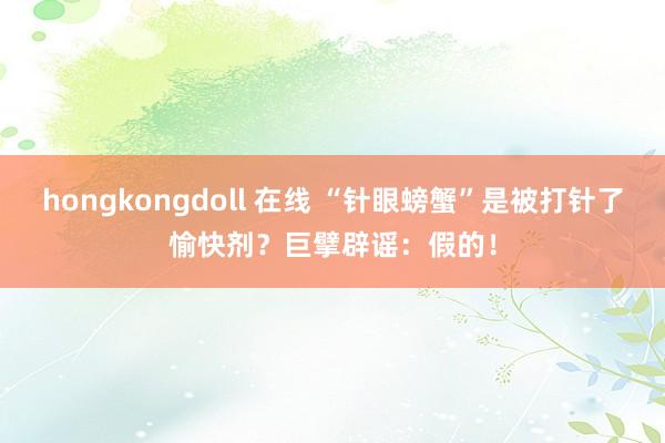 hongkongdoll 在线 “针眼螃蟹”是被打针了愉快剂？巨擘辟谣：假的！