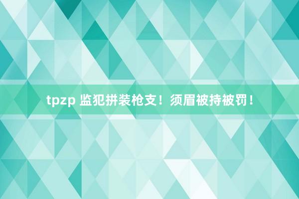 tpzp 监犯拼装枪支！须眉被持被罚！